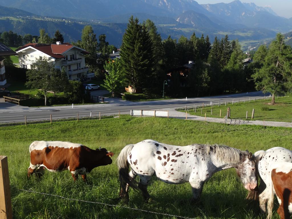 Haus Alpina Ski In & Ski Out Schladming Exterior foto