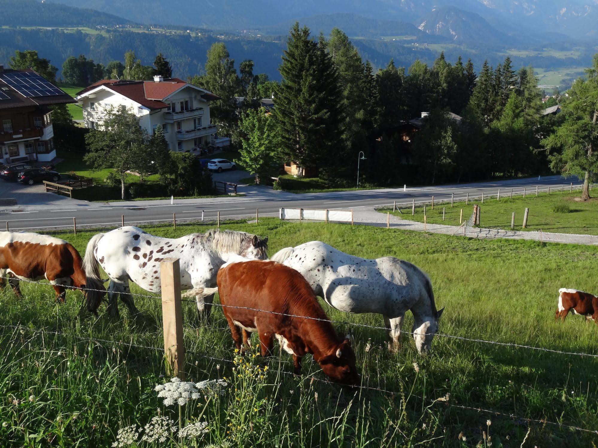 Haus Alpina Ski In & Ski Out Schladming Exterior foto